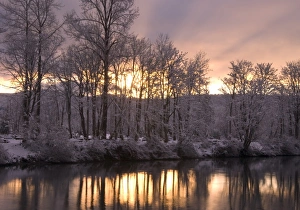 Sunset behind snow dusted trees reflecting in the Snoqualmie River, Washington Sunset behind snow dusted trees reflecting in the Snoqualmie River, Washington