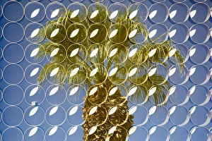 Superimposed image over plam trees, Palm Springs, California, USA Superimposed image over plam trees, Palm Springs, California, USA