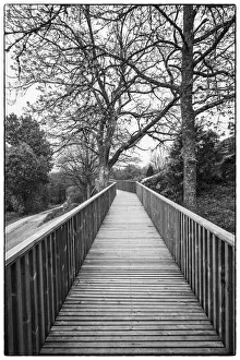 Sweden, Bohuslan, Tanumshede, Tanum Area, walkway to Bronze Age carvings Sweden, Bohuslan, Tanumshede, Tanum Area, walkway to Bronze Age carvings