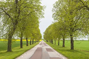 Sweden, Lake Vattern Area, country road, springtime Sweden, Lake Vattern Area, country road, springtime