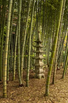 A tall pagoda statue in the center of a tall bamboo grove, Akebonoyama Park, Japan A tall pagoda statue in the center of a tall bamboo grove, Akebonoyama Park, Japan