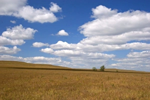 The Tallgrass Prairie National Preserve near Strong City, Kansas The Tallgrass Prairie National Preserve near Strong City, Kansas