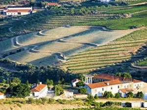 Terraced vineyards lining the hills of the Douro Valley Terraced vineyards lining the hills of the Douro Valley