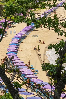 Thailand, Phuket. Umbrellas and chairs on the sandy beach Thailand, Phuket. Umbrellas and chairs on the sandy beach