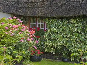 Irish Rural Landscapes Prints: Thatched cottage