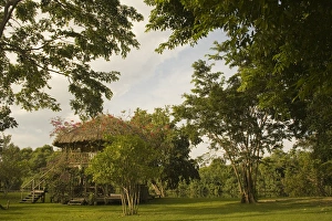 Thatched palapa in clearing near forest, Jaguar Reef Lodge, Hopkins, Stann Creek District Thatched palapa in clearing near forest, Jaguar Reef Lodge, Hopkins, Stann Creek District