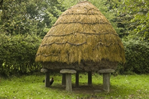 Thatched roof henhouse, Bunratty Folk Park, County Clare, Ireland, Architecture, Facade Thatched roof henhouse, Bunratty Folk Park, County Clare, Ireland, Architecture, Facade