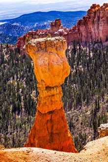 Thor's Hammer Hoodoo, Bryce Point, Bryce Canyon National Park, Utah Thor's Hammer Hoodoo, Bryce Point, Bryce Canyon National Park, Utah
