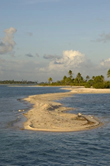 Tikehau, Tuamotu Archipelago, French Polynesia Tikehau, Tuamotu Archipelago, French Polynesia