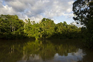 Tiputini River Scenic, Yasuni National Park, Amazon Rainforest, ECUADOR. South America Tiputini River Scenic, Yasuni National Park, Amazon Rainforest, ECUADOR. South America