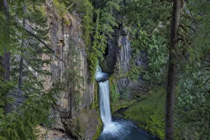 Toketee Falls runs over basalt columns in the Umpqua National Forest, Oregon, USA Toketee Falls runs over basalt columns in the Umpqua National Forest, Oregon, USA