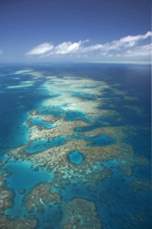 Tongue Reef, Great Barrier Reef Marine Park, North Queensland, Australia - aerial Tongue Reef, Great Barrier Reef Marine Park, North Queensland, Australia - aerial