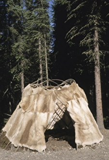 Traditional Athabaskan dome shaped dwelling covered with caribou hides called a wickiup Traditional Athabaskan dome shaped dwelling covered with caribou hides called a wickiup