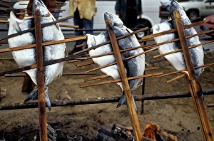 Traditionally the Tlingit used wood stakes and cedar pins to slow cook salmon over Traditionally the Tlingit used wood stakes and cedar pins to slow cook salmon over