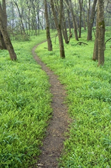 Trail winding through native grasses, Pruitt landing, Log Cabin Trail Trail winding through native grasses, Pruitt landing, Log Cabin Trail