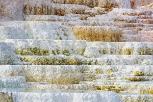 Travertine terraces at Minerva Spring, Mammoth Hot Springs, Yellowstone National Park Travertine terraces at Minerva Spring, Mammoth Hot Springs, Yellowstone National Park