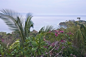 Tropical foliage and ocean views along the wildlife rich coastline of the Osa peninsula Tropical foliage and ocean views along the wildlife rich coastline of the Osa peninsula