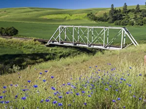 Truss bridge over the south fork of the Palouse River with wildflowers in the foreground Truss bridge over the south fork of the Palouse River with wildflowers in the foreground