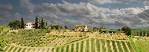 Cloudy Rural Scene Prints: Tuscan landscape under thunder clouds. Farmhouse with vineyard. Tuscany, Italy