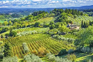 Tuscan vineyard, San Gimignano, Tuscany, Italy Tuscan vineyard, San Gimignano, Tuscany, Italy
