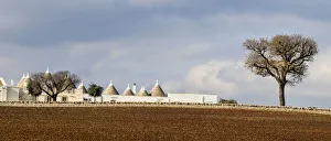Several typical Trulli homes outside of the town of Alberobello Several typical Trulli homes outside of the town of Alberobello