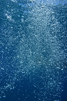 Underwater bubbles from scuba diver near Taveuni Island, Fiji, South Pacific Underwater bubbles from scuba diver near Taveuni Island, Fiji, South Pacific