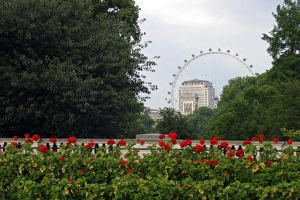 United Kingdom, Great Britain; England; London United Kingdom, Great Britain; England; London