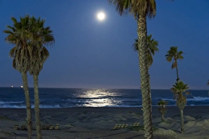 US, CA, Oxnard. Moonlight reflected on Pacific Ocean during full moonet US, CA, Oxnard. Moonlight reflected on Pacific Ocean during full moonet