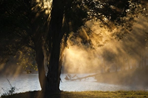 USA, Alabama, Florence. Lake Wilson, morning fog USA, Alabama, Florence. Lake Wilson, morning fog