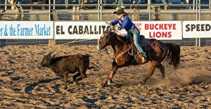 USA, Arizona, Buckeye, Hellzapoppin Arena. Cowgirl roping calf at rodeo. Credit as USA, Arizona, Buckeye, Hellzapoppin Arena. Cowgirl roping calf at rodeo. Credit as