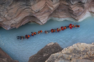USA, Arizona, Grand Canyon National Park. Students float on blue water of Havasu Creek USA, Arizona, Grand Canyon National Park. Students float on blue water of Havasu Creek