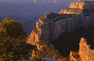 USA, Arizona, Grand Canyon National Park, North Rim, Sunrise light brightens Wotans Throne USA, Arizona, Grand Canyon National Park, North Rim, Sunrise light brightens Wotans Throne