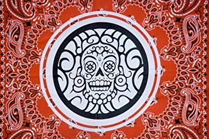USA, Arizona, Phoenix, Desert Botanical Garden. Bandana with skull design. Credit as USA, Arizona, Phoenix, Desert Botanical Garden. Bandana with skull design. Credit as
