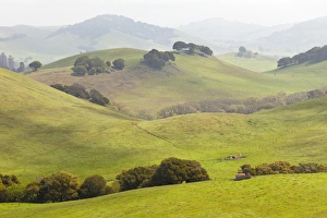 USA, California, Olema. Landscape of farm fields USA, California, Olema. Landscape of farm fields