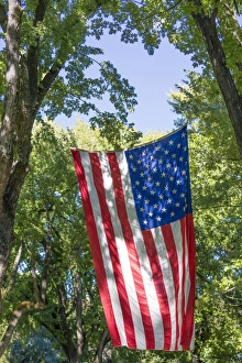 USA, Colorado, Crawford. Flag hanging between two trees USA, Colorado, Crawford. Flag hanging between two trees
