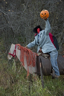 USA, Colorado, Crystal River Valley. Roadside Halloween display of a manikin on a horse USA, Colorado, Crystal River Valley. Roadside Halloween display of a manikin on a horse