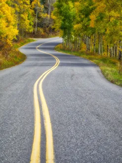 USA, Colorado. Curved Roadway near Aspen, Colorado in autumn colors and aspens groves USA, Colorado. Curved Roadway near Aspen, Colorado in autumn colors and aspens groves