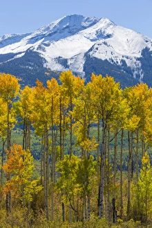 USA, Colorado. Fall aspens and mountain. Credit as: Don Paulson / Jaynes Gallery / DanitaDelimont USA, Colorado. Fall aspens and mountain. Credit as: Don Paulson / Jaynes Gallery / DanitaDelimont