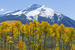 USA, Colorado. Fall aspens and mountain. Credit as: Don Paulson / Jaynes Gallery / DanitaDelimont USA, Colorado. Fall aspens and mountain. Credit as: Don Paulson / Jaynes Gallery / DanitaDelimont