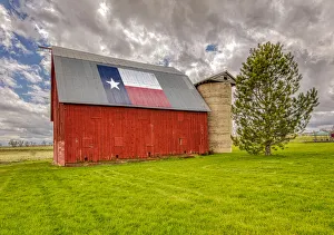 USA, Colorado, Larimer County. Red in farm field. Credit as Fred Lord / Jaynes Gallery / USA, Colorado, Larimer County. Red in farm field. Credit as Fred Lord / Jaynes Gallery /