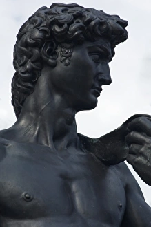 USA, FL, Sarasota, John and Mabel Ringling Museum, Statue of David in Museum Courtyard USA, FL, Sarasota, John and Mabel Ringling Museum, Statue of David in Museum Courtyard