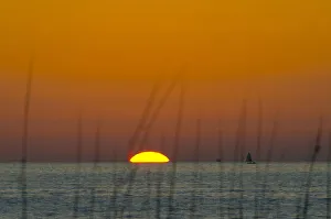 USA, Florida, Sarasota, Siesta Key, Orange Sunset USA, Florida, Sarasota, Siesta Key, Orange Sunset