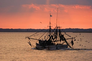 USA; Georgia; Jykell Island. Shrimp boat at sunset USA; Georgia; Jykell Island. Shrimp boat at sunset
