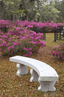 USA; Georgia; Savannah; Spring at Historic Bonaventure Cemetery USA; Georgia; Savannah; Spring at Historic Bonaventure Cemetery