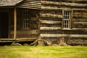 USA; Great Smoky Mountains NP; Deer grazing at a log cabin in Cades Cove USA; Great Smoky Mountains NP; Deer grazing at a log cabin in Cades Cove