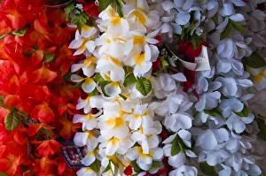 USA, Hawaii. Colorful lei hanging at an outdoor market USA, Hawaii. Colorful lei hanging at an outdoor market