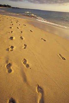 USA, Hawaii, Maui, Makena Beach Footprints in the sand, evening light USA, Hawaii, Maui, Makena Beach Footprints in the sand, evening light