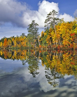 USA, Maine. Autumn scenic of Upper Togue Pond USA, Maine. Autumn scenic of Upper Togue Pond