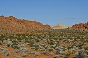 USA, Nevada. Valley of Fire State Park Highway Views USA, Nevada. Valley of Fire State Park Highway Views