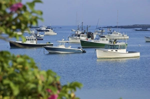 USA, New England, Maine, Kennebunkport, boats moored in harbor USA, New England, Maine, Kennebunkport, boats moored in harbor
